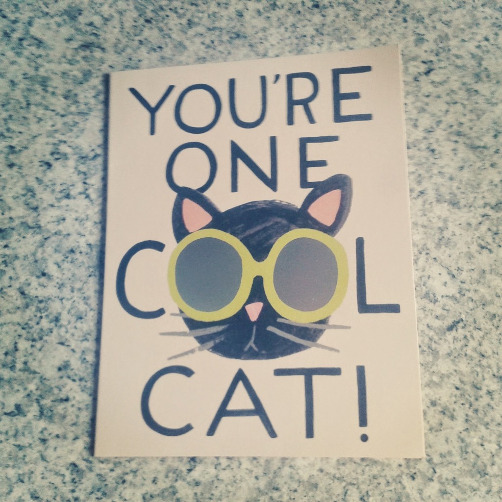Charlotte-Buxtn-summer-youre-one-cool-cat-1024x1024